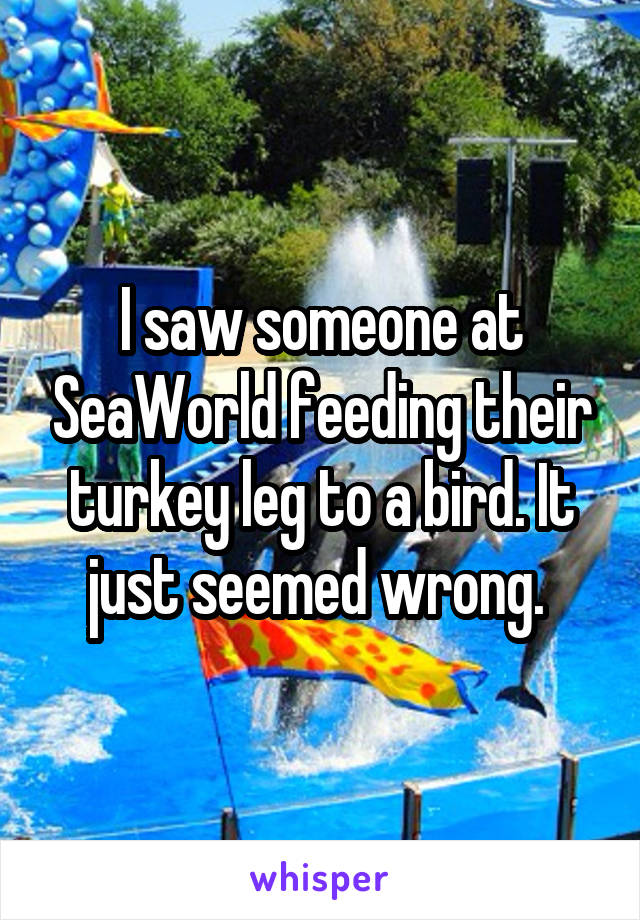 I saw someone at SeaWorld feeding their turkey leg to a bird. It just seemed wrong. 