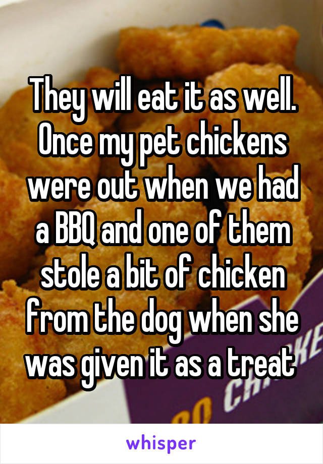 They will eat it as well. Once my pet chickens were out when we had a BBQ and one of them stole a bit of chicken from the dog when she was given it as a treat 