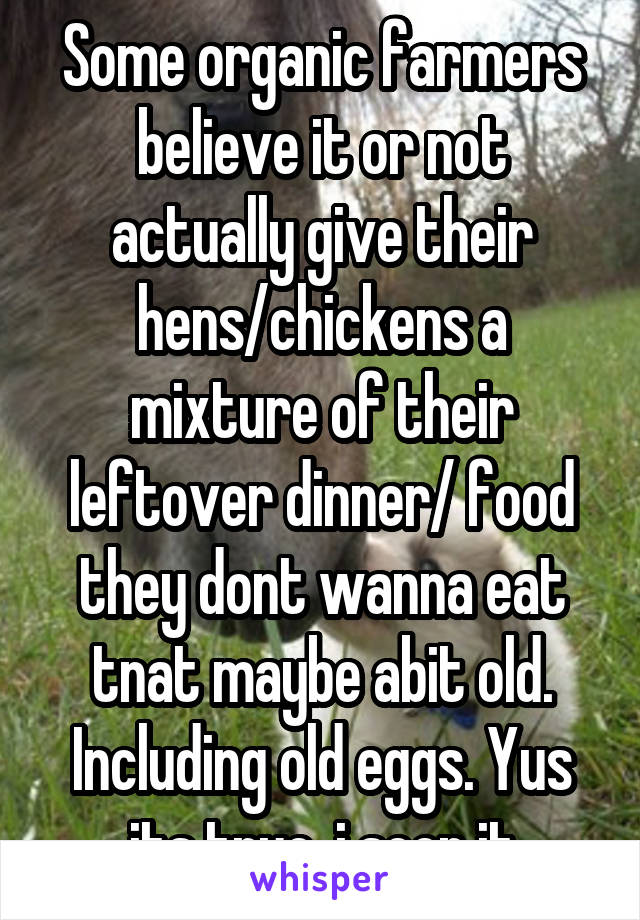 Some organic farmers believe it or not actually give their hens/chickens a mixture of their leftover dinner/ food they dont wanna eat tnat maybe abit old. Including old eggs. Yus its true, i seen it