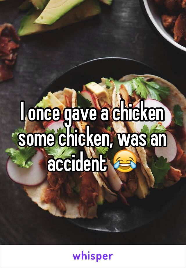 I once gave a chicken some chicken, was an accident 😂