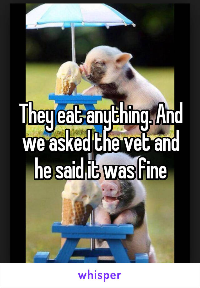 They eat anything. And we asked the vet and he said it was fine