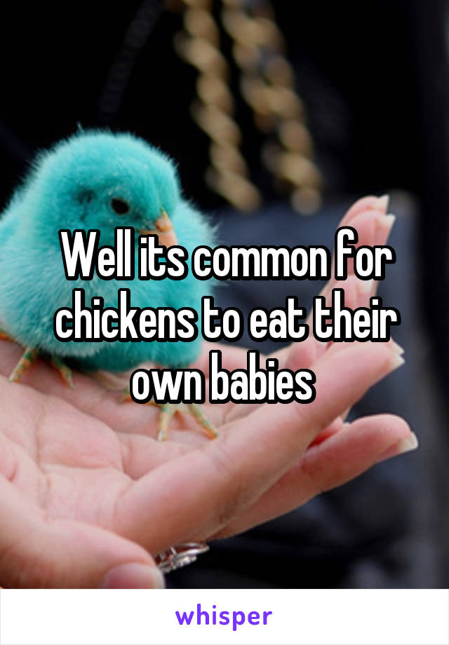 Well its common for chickens to eat their own babies 