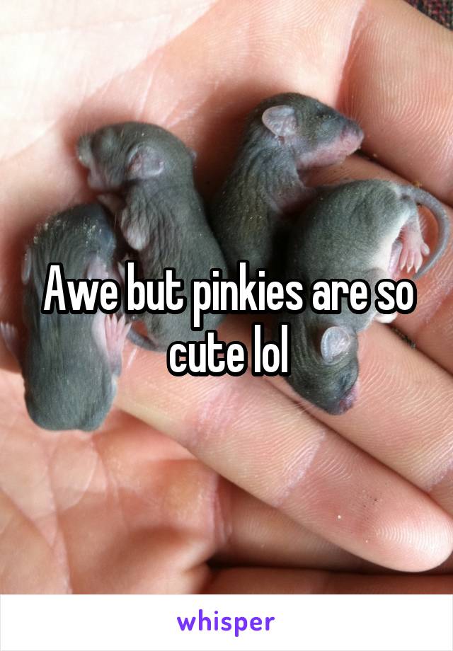 Awe but pinkies are so cute lol