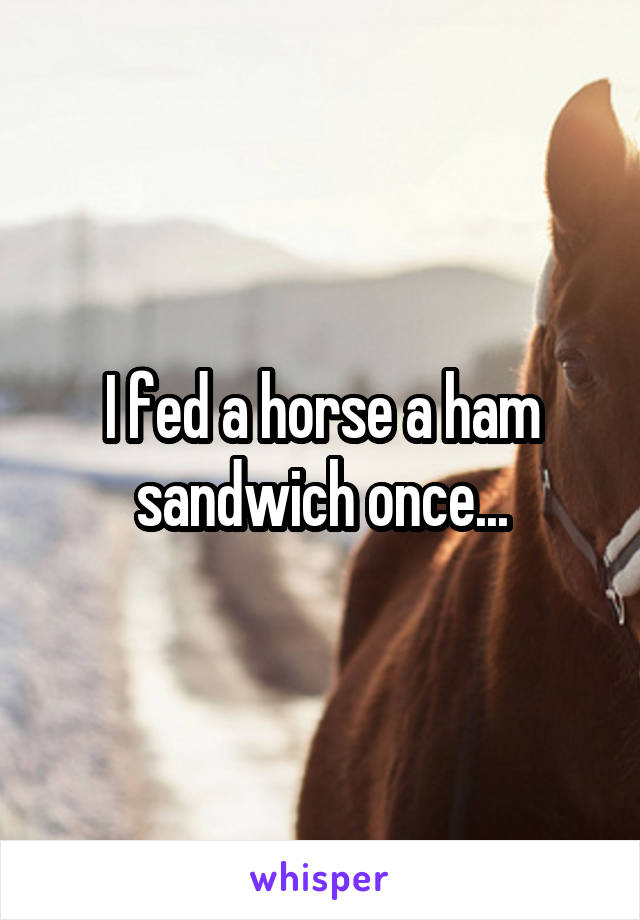 I fed a horse a ham sandwich once...