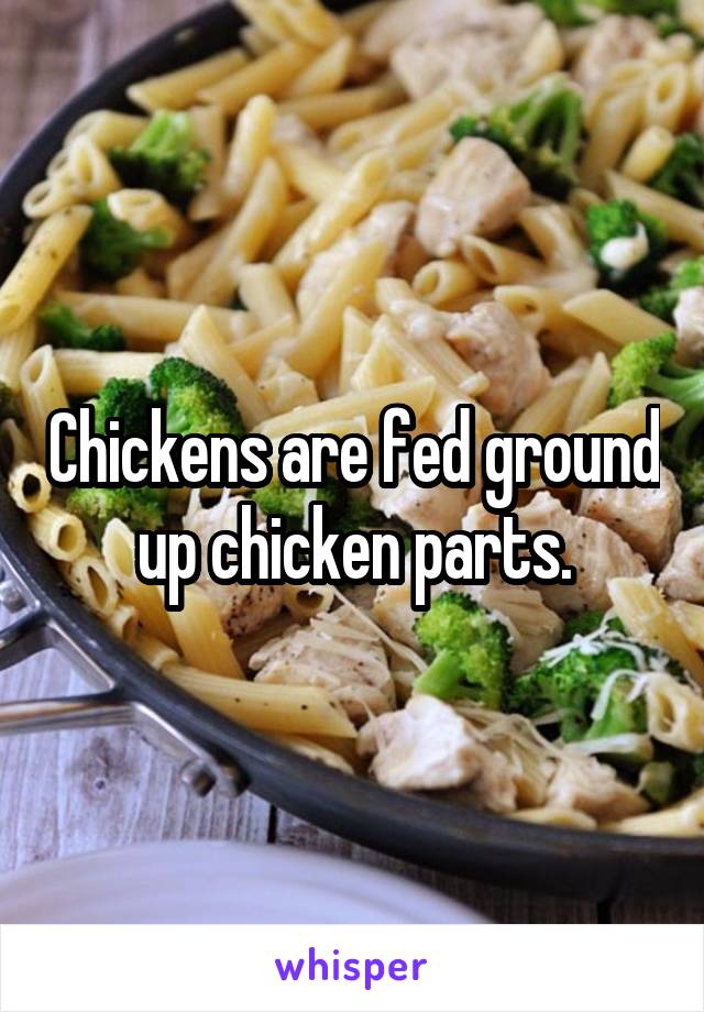 Chickens are fed ground up chicken parts.