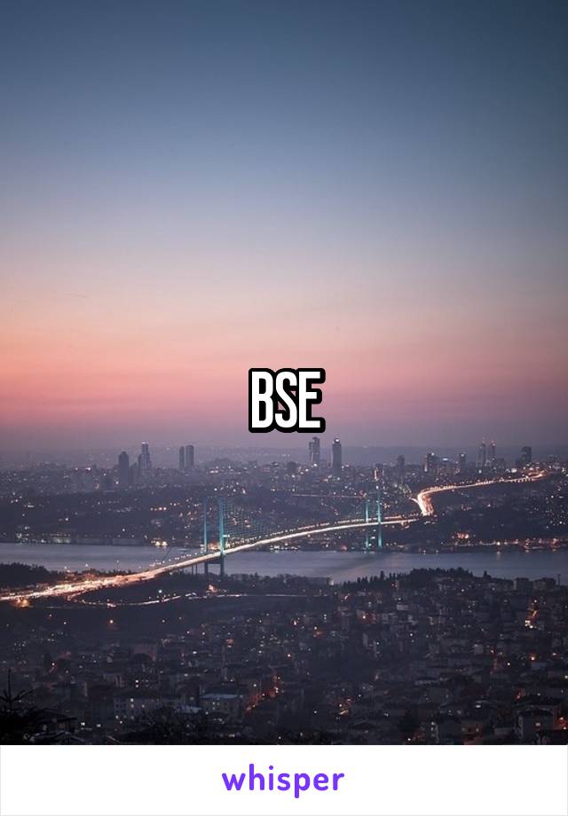 BSE