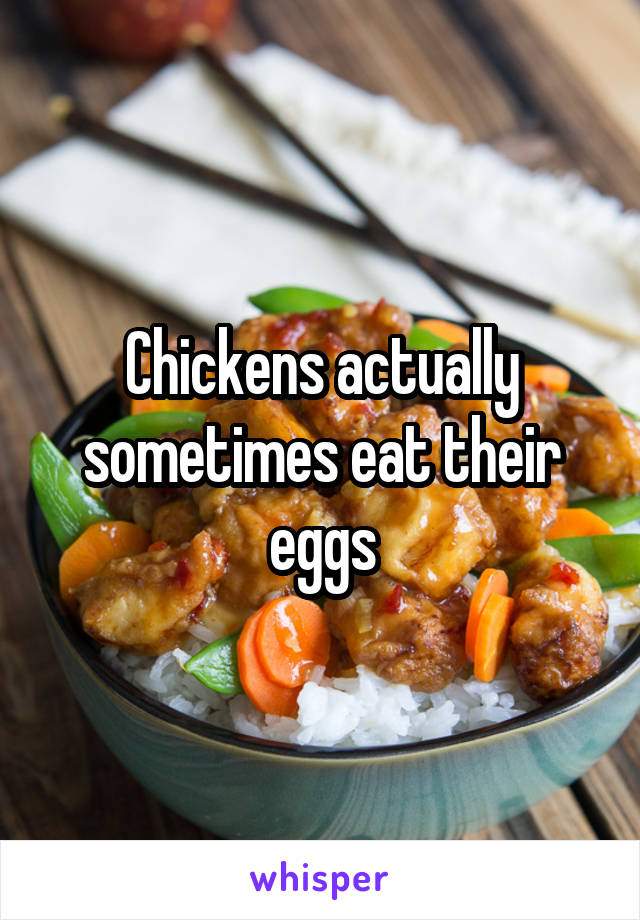 Chickens actually sometimes eat their eggs