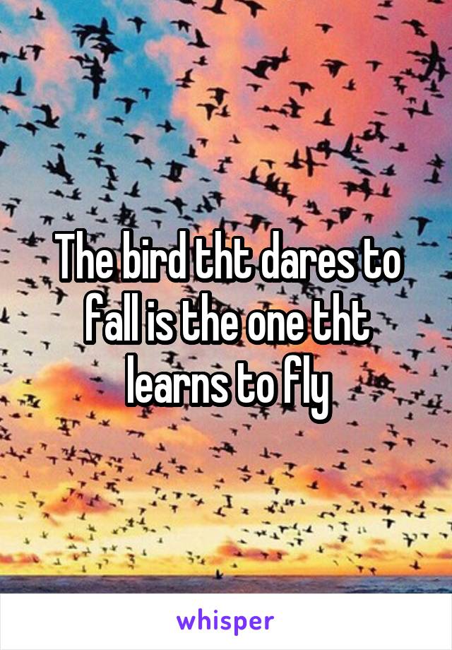 The bird tht dares to fall is the one tht learns to fly