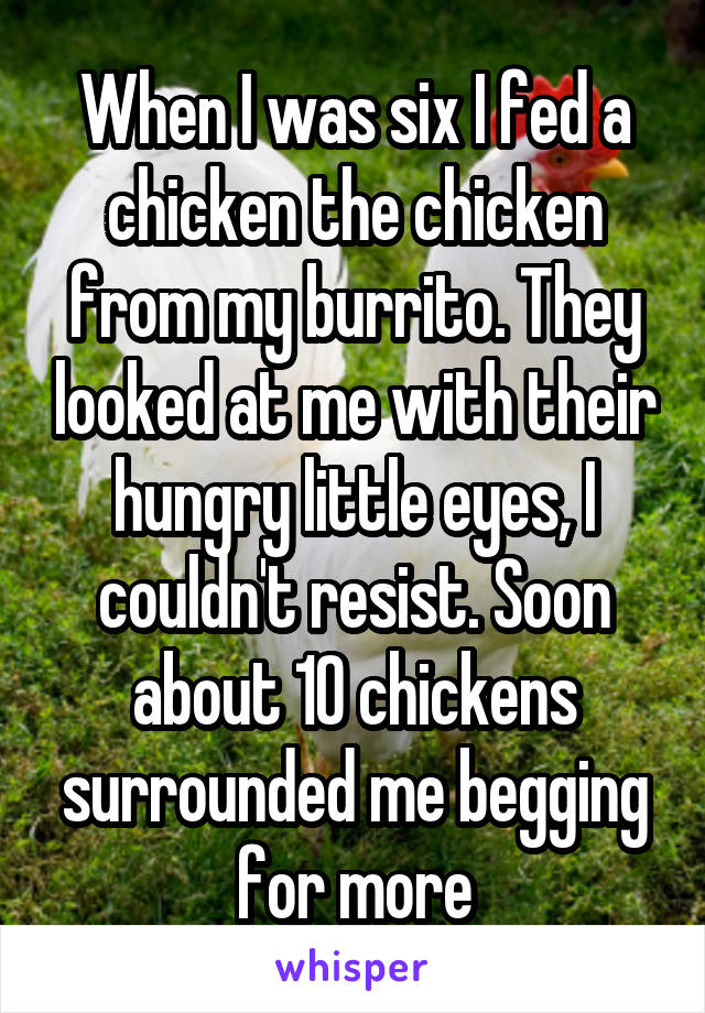 When I was six I fed a chicken the chicken from my burrito. They looked at me with their hungry little eyes, I couldn't resist. Soon about 10 chickens surrounded me begging for more