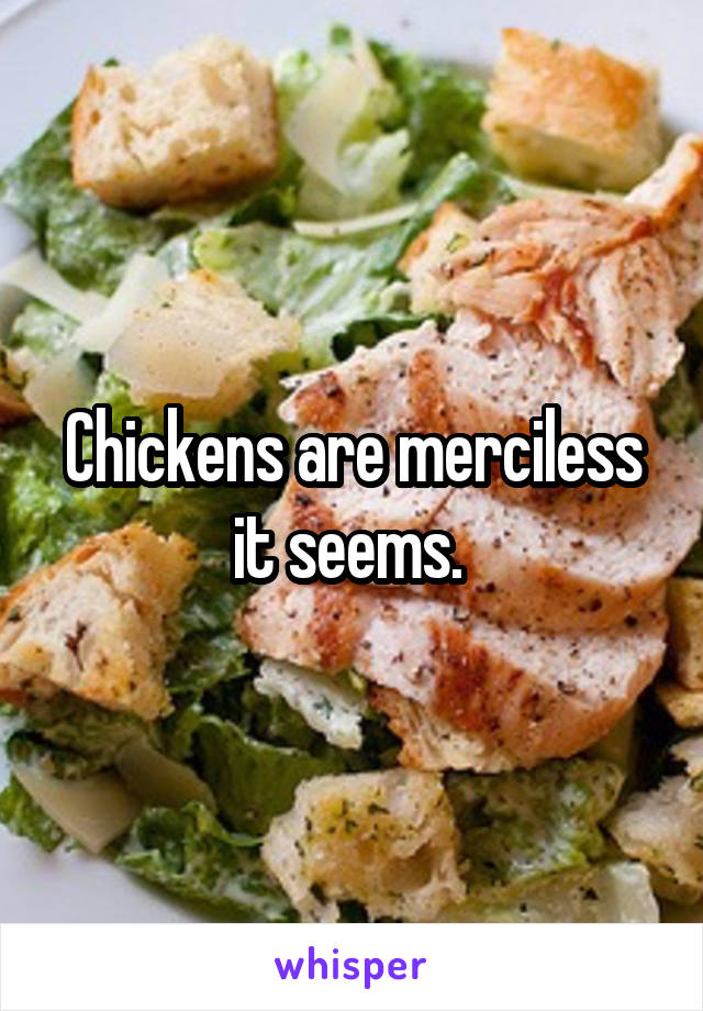 Chickens are merciless it seems. 