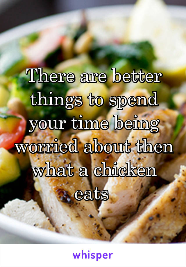 There are better things to spend your time being worried about then what a chicken eats 