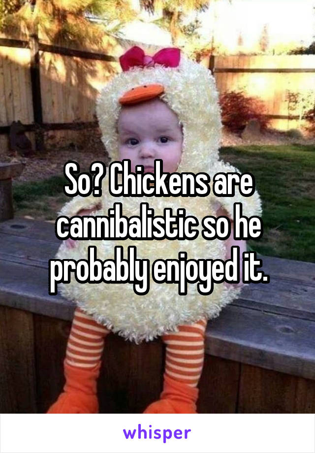 So? Chickens are cannibalistic so he probably enjoyed it.