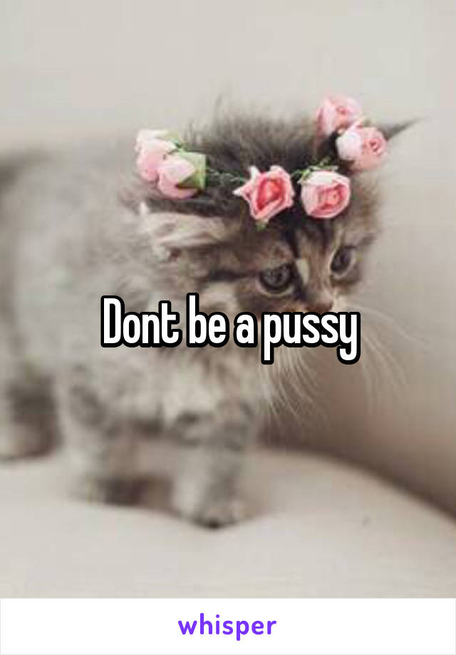 Dont be a pussy