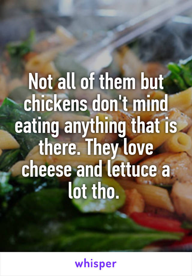 Not all of them but chickens don't mind eating anything that is there. They love cheese and lettuce a lot tho. 