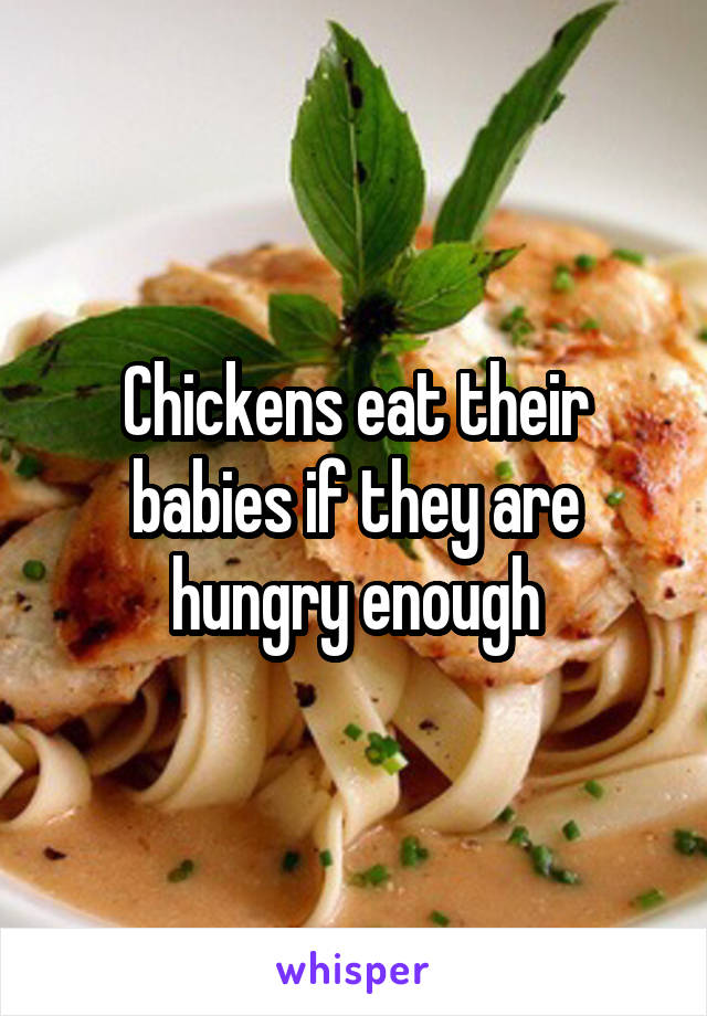 Chickens eat their babies if they are hungry enough