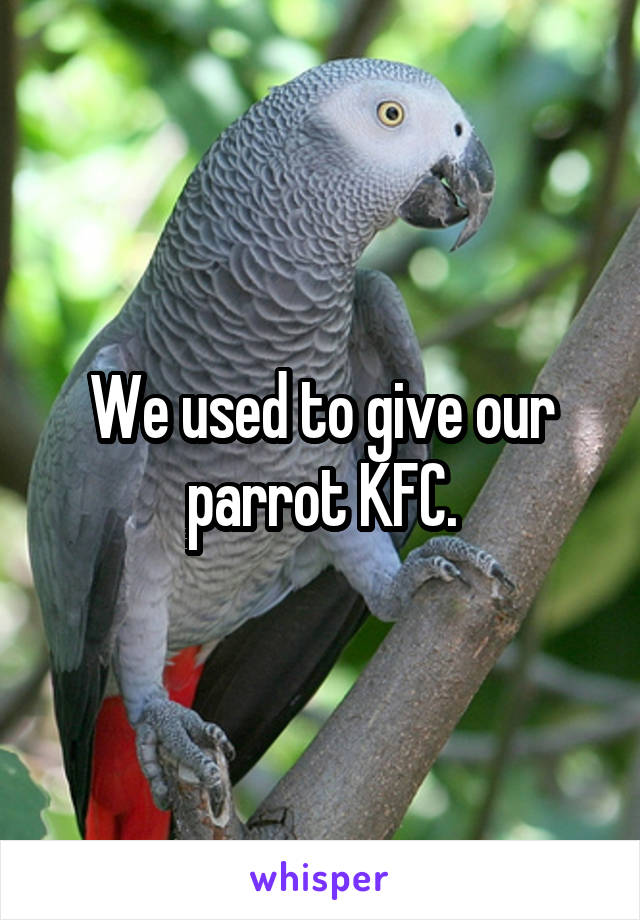 We used to give our parrot KFC.