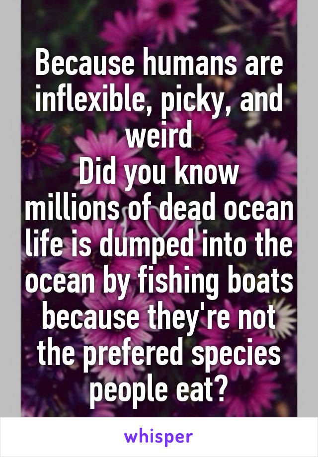 Because humans are inflexible, picky, and weird
Did you know millions of dead ocean life is dumped into the ocean by fishing boats because they're not the prefered species people eat?