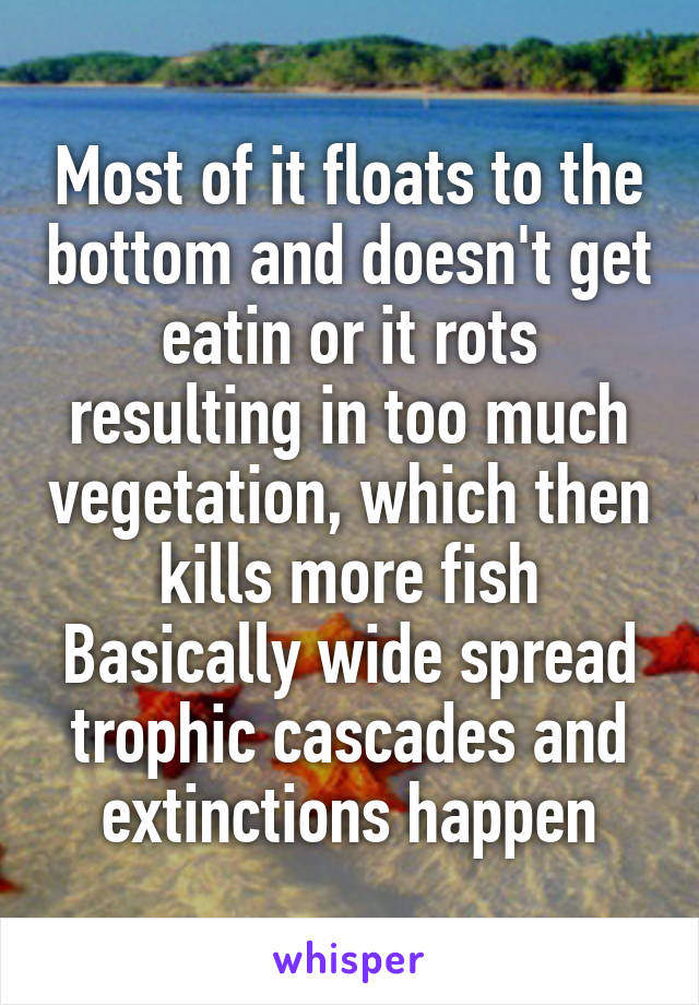 Most of it floats to the bottom and doesn't get eatin or it rots resulting in too much vegetation, which then kills more fish
Basically wide spread trophic cascades and extinctions happen