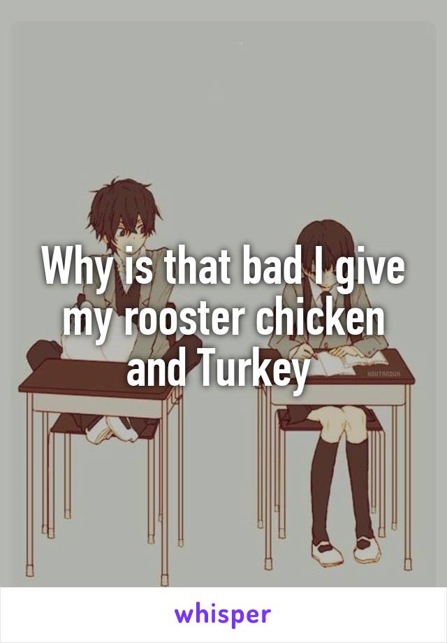 Why is that bad I give my rooster chicken and Turkey 