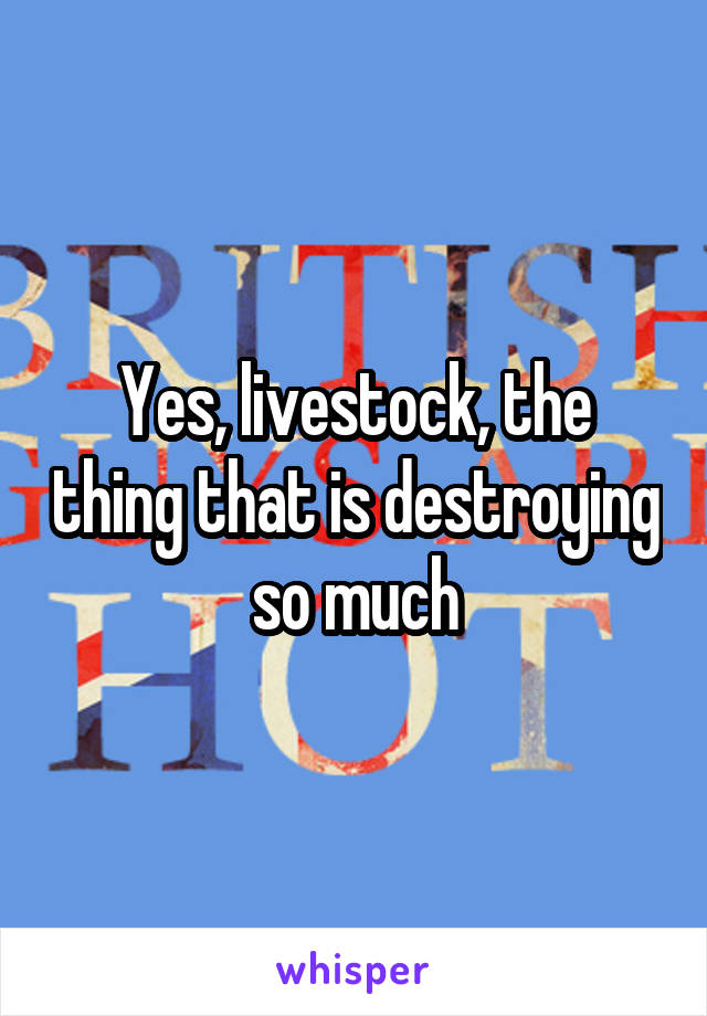 Yes, livestock, the thing that is destroying so much