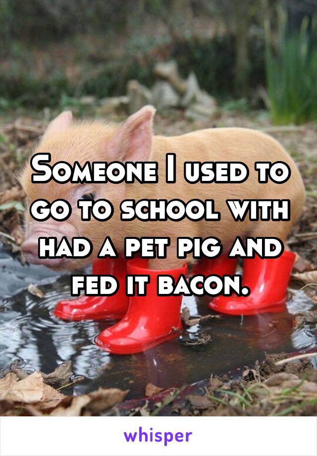 Someone I used to go to school with had a pet pig and fed it bacon.