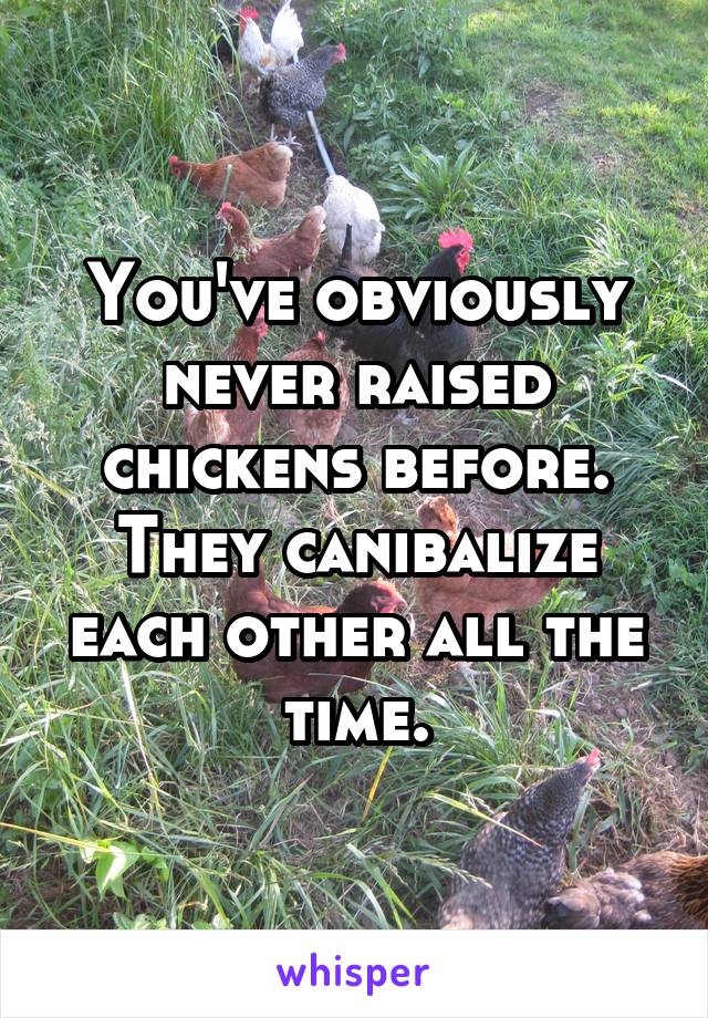 You've obviously never raised chickens before. They canibalize each other all the time.