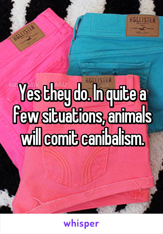 Yes they do. In quite a few situations, animals will comit canibalism.