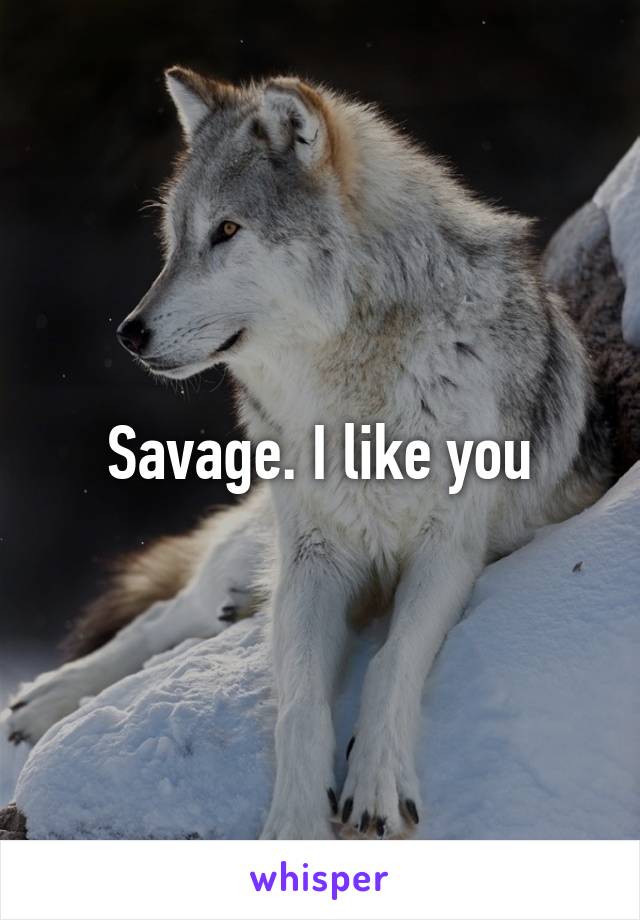 Savage. I like you