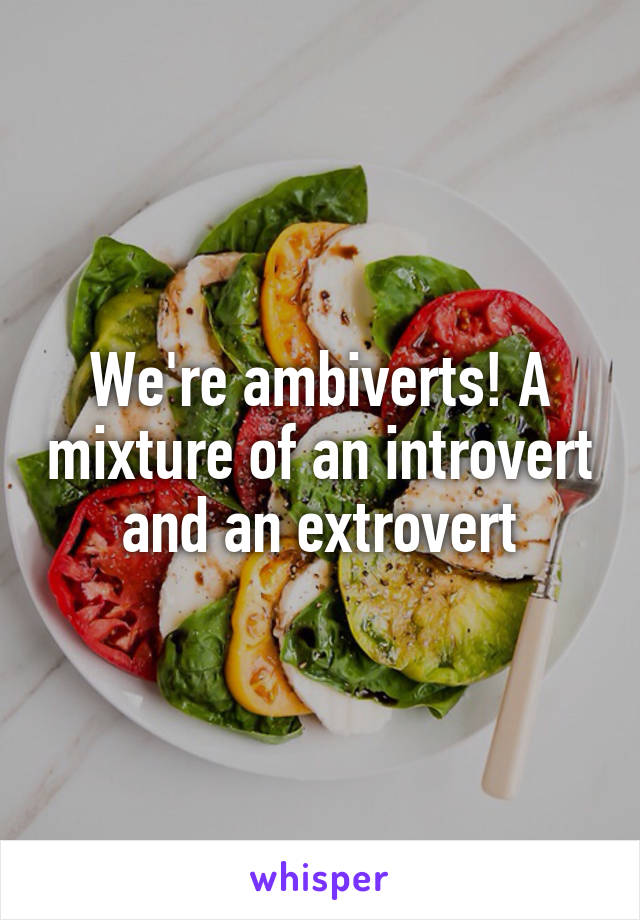 We're ambiverts! A mixture of an introvert and an extrovert