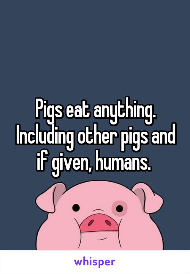 Pigs eat anything. Including other pigs and if given, humans. 