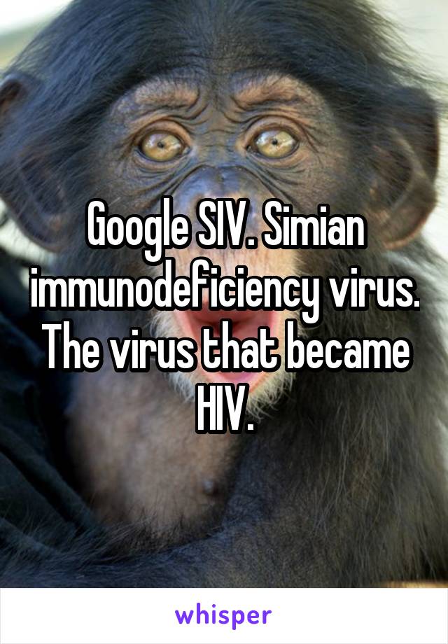 Google SIV. Simian immunodeficiency virus. The virus that became HIV.