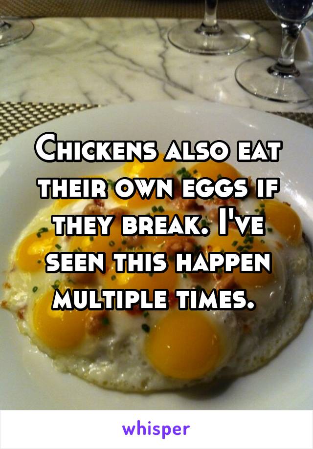 Chickens also eat their own eggs if they break. I've seen this happen multiple times. 