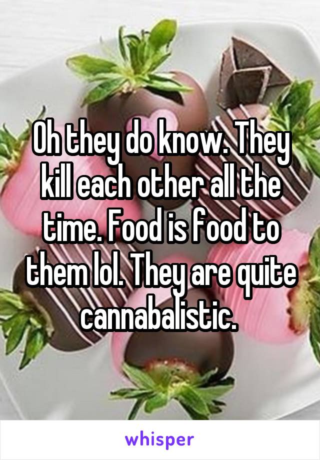 Oh they do know. They kill each other all the time. Food is food to them lol. They are quite cannabalistic. 