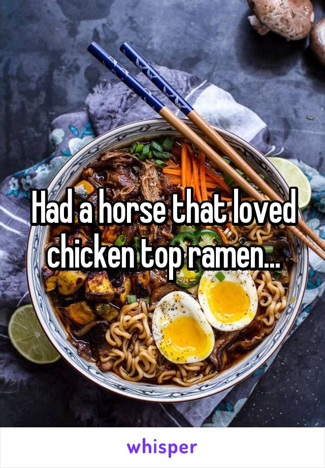 Had a horse that loved chicken top ramen...