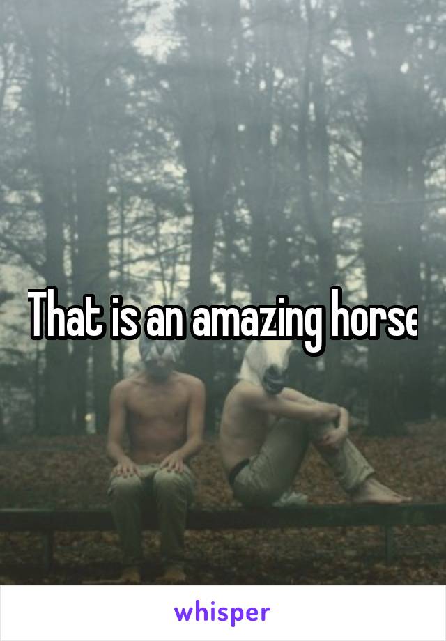 That is an amazing horse