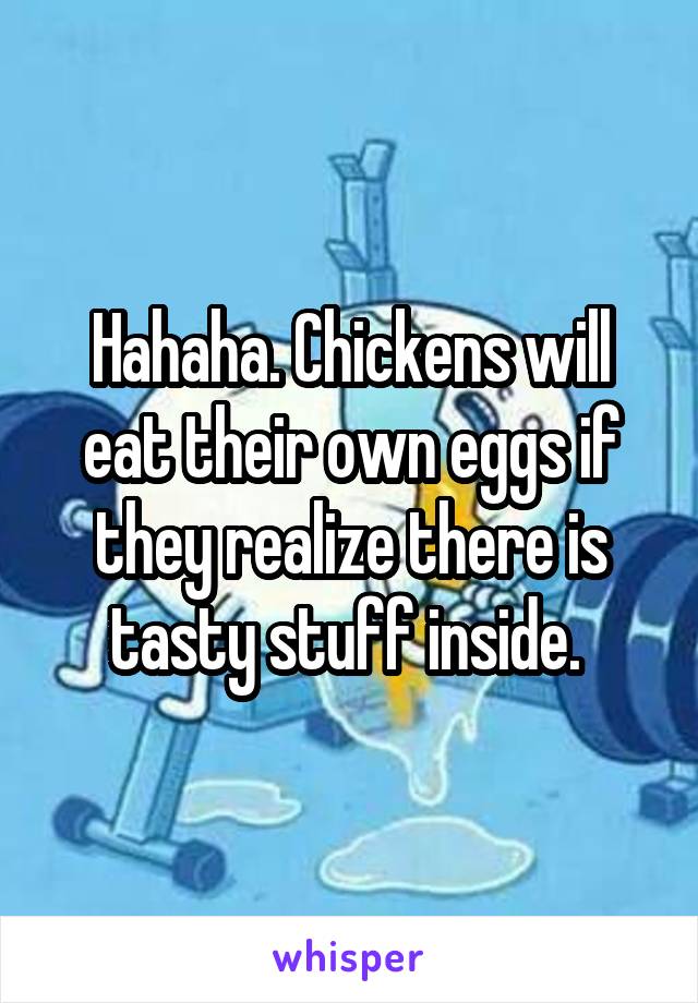 Hahaha. Chickens will eat their own eggs if they realize there is tasty stuff inside. 