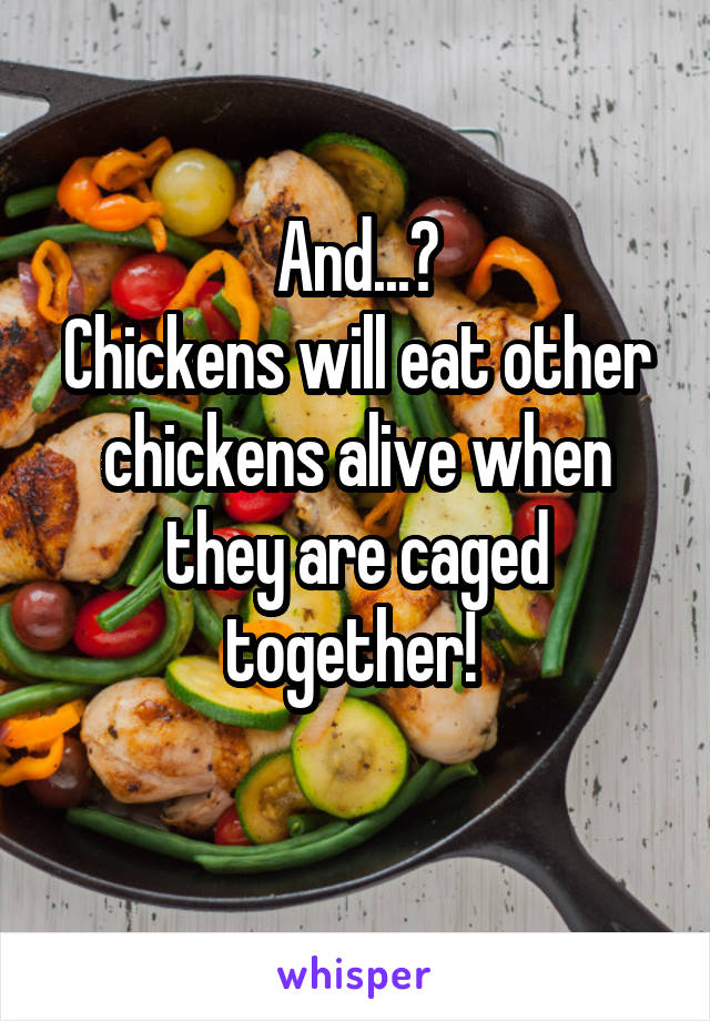 And...?
Chickens will eat other chickens alive when they are caged together! 
