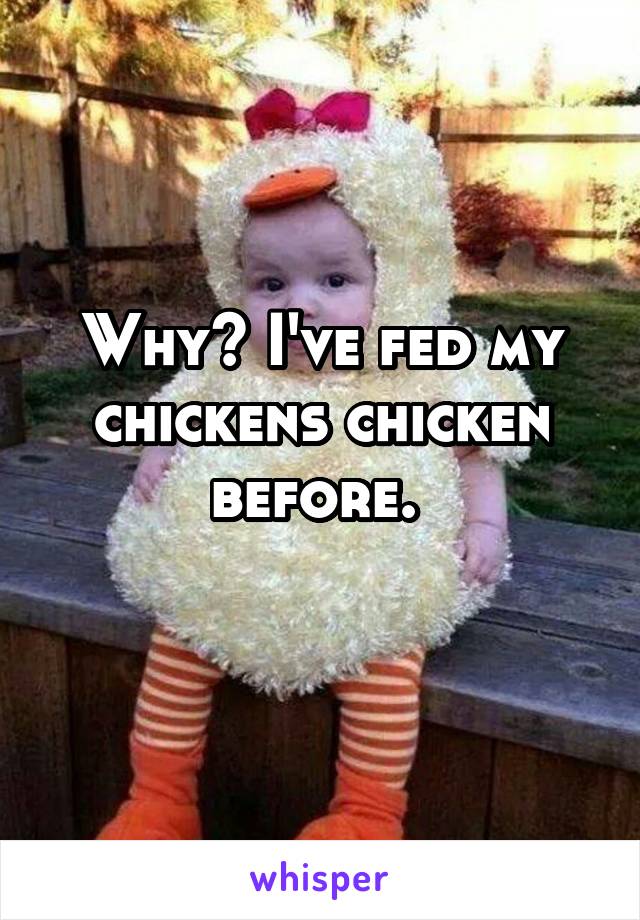 Why? I've fed my chickens chicken before. 
