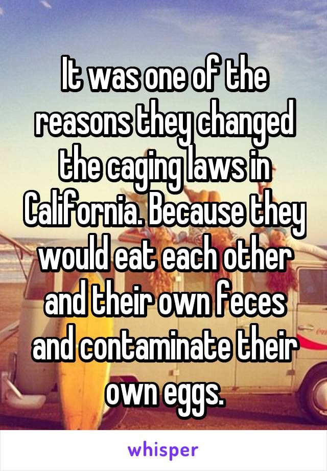 It was one of the reasons they changed the caging laws in California. Because they would eat each other and their own feces and contaminate their own eggs.