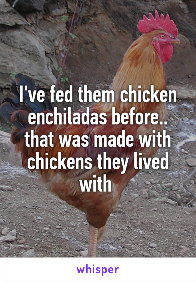 I've fed them chicken enchiladas before.. that was made with chickens they lived with 