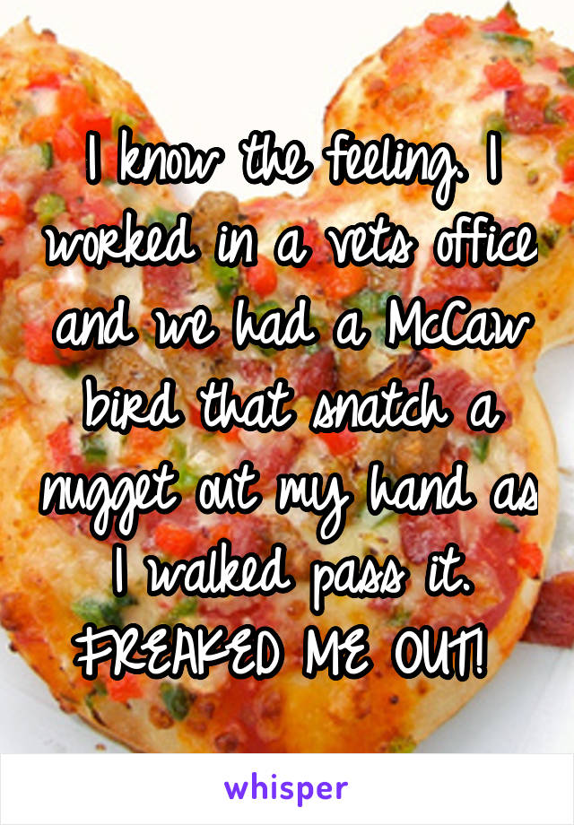 I know the feeling. I worked in a vets office and we had a McCaw bird that snatch a nugget out my hand as I walked pass it. FREAKED ME OUT! 