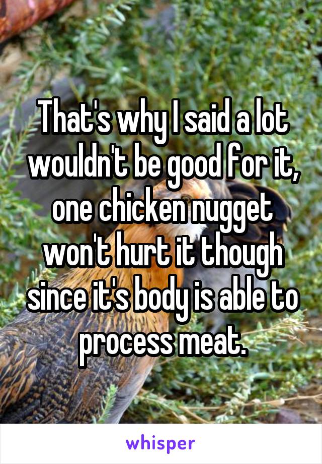 That's why I said a lot wouldn't be good for it, one chicken nugget won't hurt it though since it's body is able to process meat.