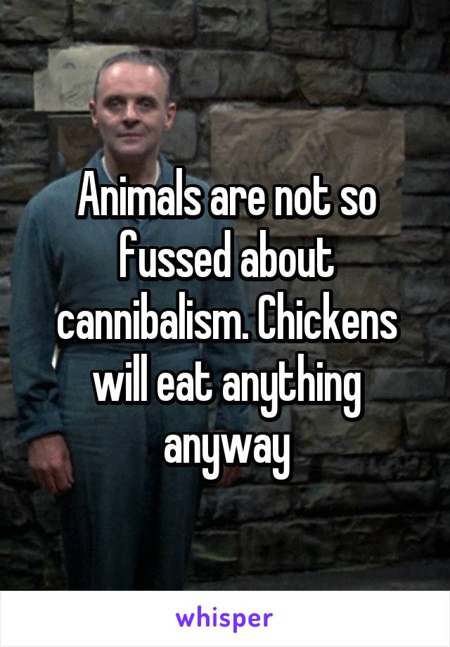 Animals are not so fussed about cannibalism. Chickens will eat anything anyway