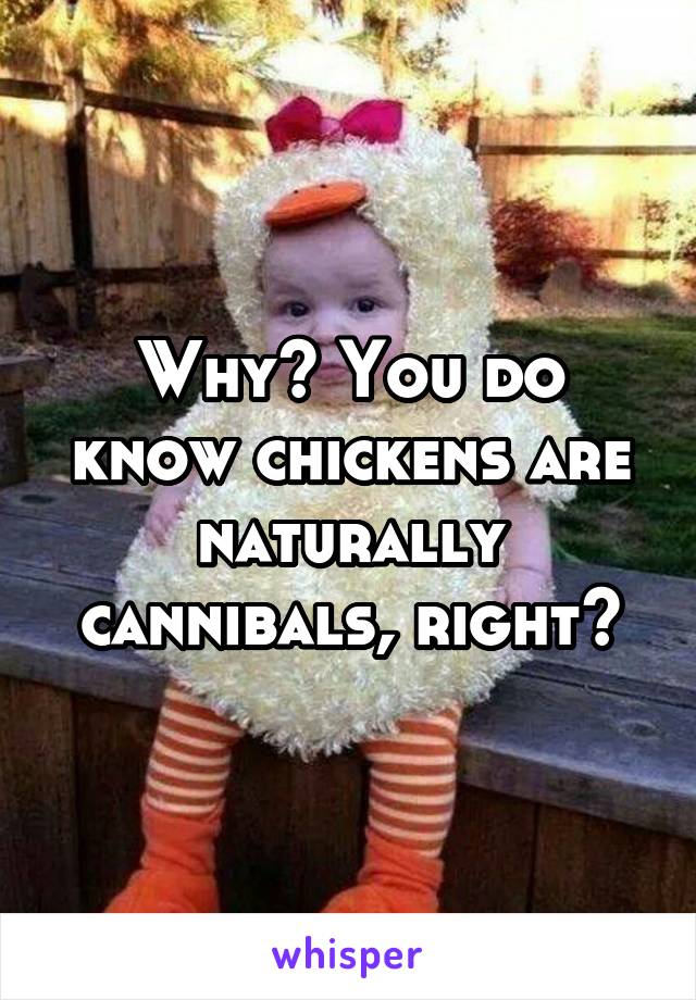 Why? You do know chickens are naturally cannibals, right?