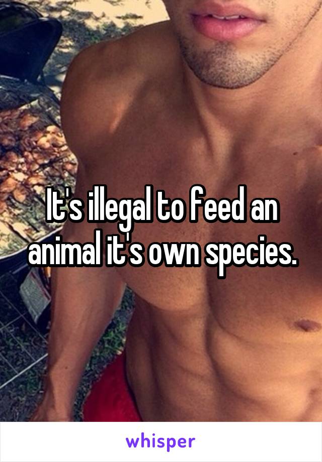 It's illegal to feed an animal it's own species.