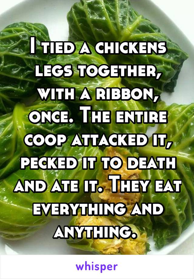 I tied a chickens legs together, with a ribbon, once. The entire coop attacked it, pecked it to death and ate it. They eat everything and anything. 