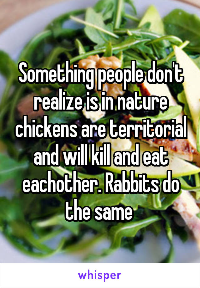 Something people don't realize is in nature chickens are territorial and will kill and eat eachother. Rabbits do the same 