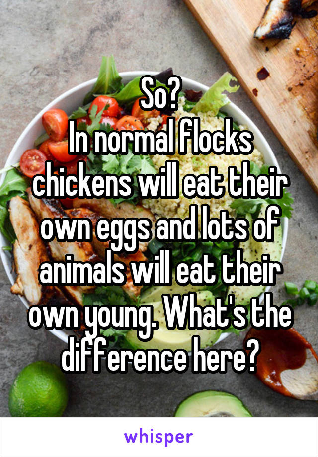 So?
In normal flocks chickens will eat their own eggs and lots of animals will eat their own young. What's the difference here?