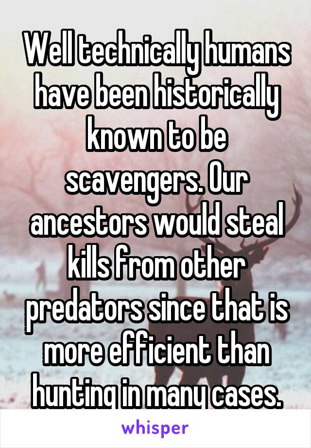 Well technically humans have been historically known to be scavengers. Our ancestors would steal kills from other predators since that is more efficient than hunting in many cases.