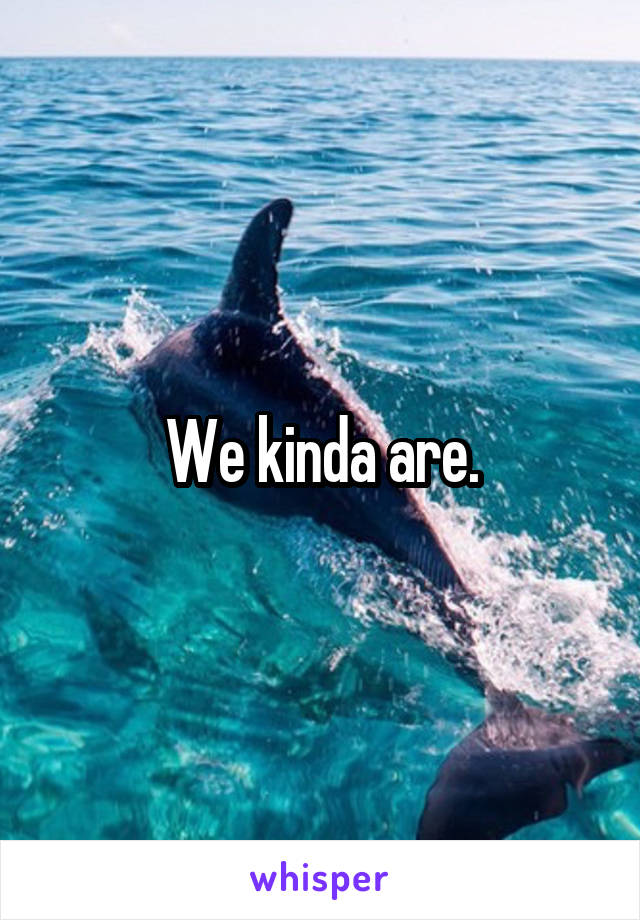 We kinda are.